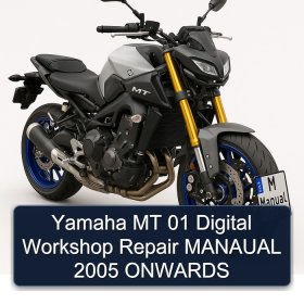 Yamaha MT 01 Digital Workshop Repair MANAUAL 2005 ONWARDS