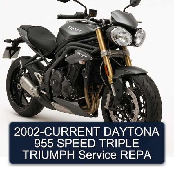 2002-CURRENT DAYTONA 955 SPEED TRIPLE TRIUMPH Service REPA