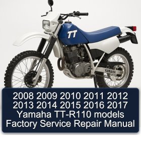 2008 2009 2010 2011 2012 2013 2014 2015 2016 2017 Yamaha TT-R110 models Factory Service Repair Manual