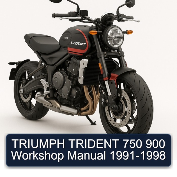 TRIUMPH TRIDENT 750 900 Workshop Manual 1991-1998