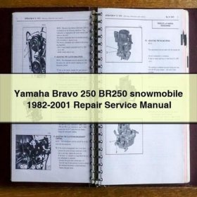 Manual de Reparación Yamaha Bravo 250 BR250 (1982-2001) - PDF
