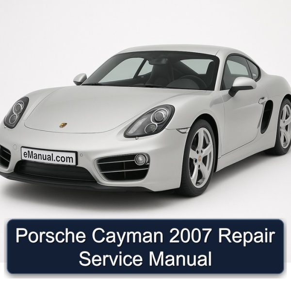 Porsche Cayman 2007 Repair Service Manual