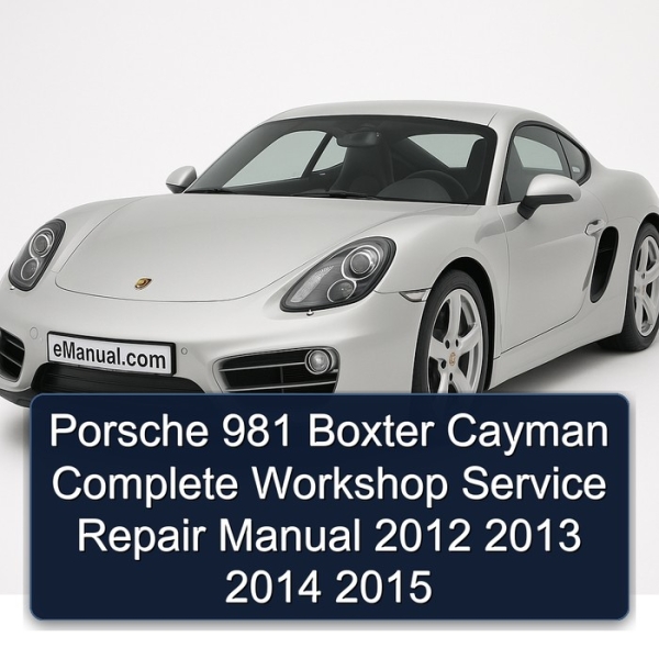 Porsche 981 Boxter Cayman Complete Workshop Service Repair Manual 2012 2013 2014 2015