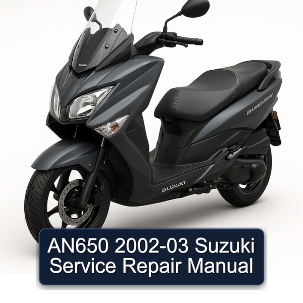 AN650 2002-03 Suzuki Service Repair Manual