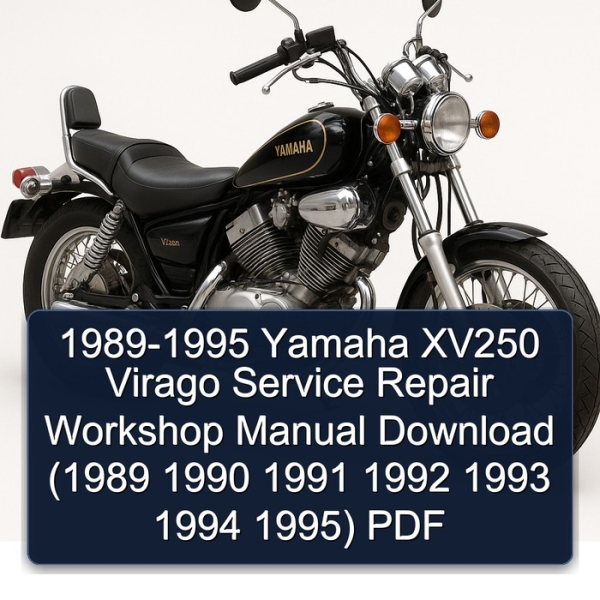 1989-1995 Yamaha XV250 Virago Service Repair Workshop Manual Download (1989 1990 1991 1992 1993 1994 1995) PDF
