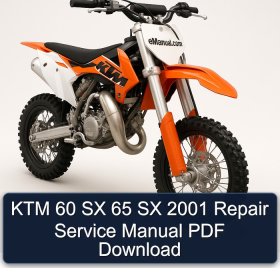 KTM 60 SX 65 SX 2001 Repair Service Manual PDF Download