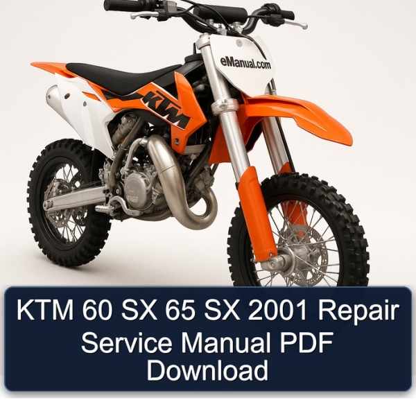 KTM 60 SX 65 SX 2001 Repair Service Manual PDF Download