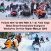 Polaris 600 700 800 RMK & Trail RMK Edge Deep Snow Snowmobile Complete Workshop Service Repair Manual 2003