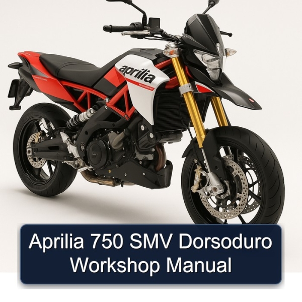 Aprilia 750 SMV Dorsoduro Workshop Manual