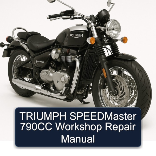 TRIUMPH SPEEDMaster 790CC Workshop Repair Manual