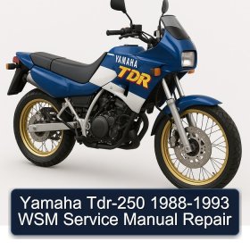 Yamaha Tdr-250 1988-1993 WSM Service Manual Repair