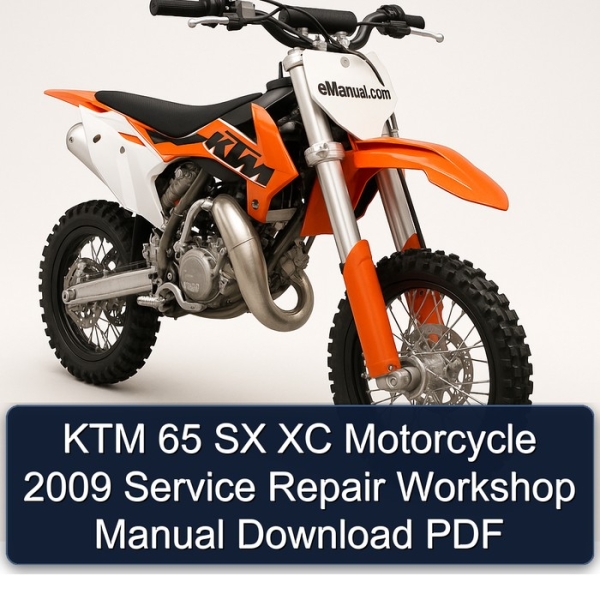 KTM 65 SX XC Motorcycle 2009 Service Repair Workshop Manual Download PDF