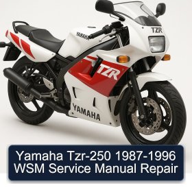 Yamaha Tzr-250 1987-1996 WSM Service Manual Repair