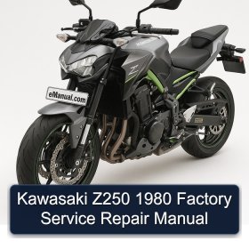Kawasaki Z250 1980 Factory Service Repair Manual