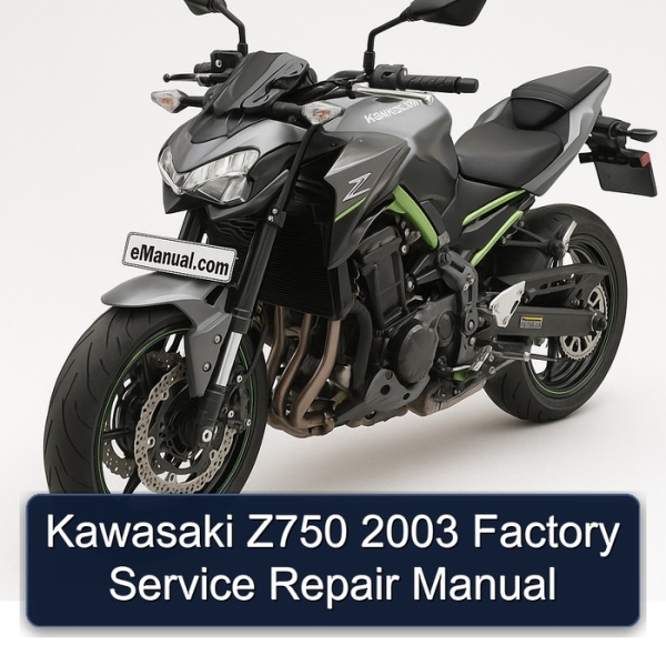 Kawasaki Z750 2003 Factory Service Repair Manual