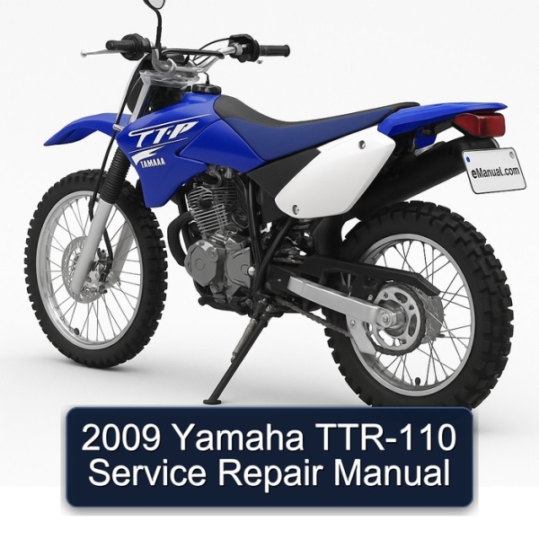 2009 Yamaha TTR-110 Service Repair Manual