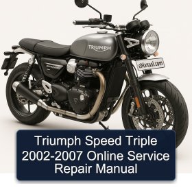 Triumph Speed Triple 2002-2007 Online Service Repair Manual