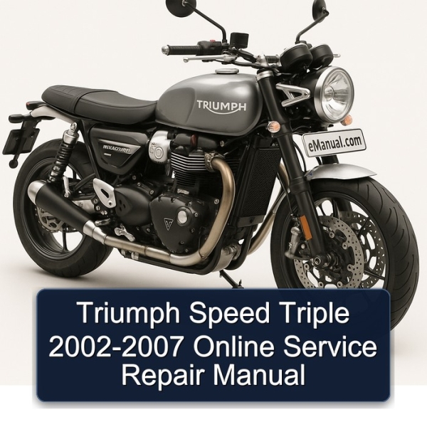 Triumph Speed Triple 2002-2007 Online Service Repair Manual