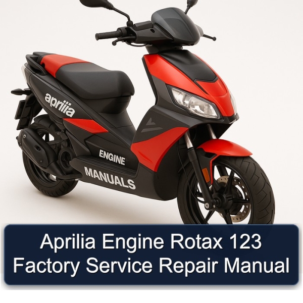 Aprilia Engine Rotax 123 Factory Service Repair Manual
