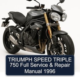 TRIUMPH SPEED TRIPLE 750 Full Service & Repair Manual 1996