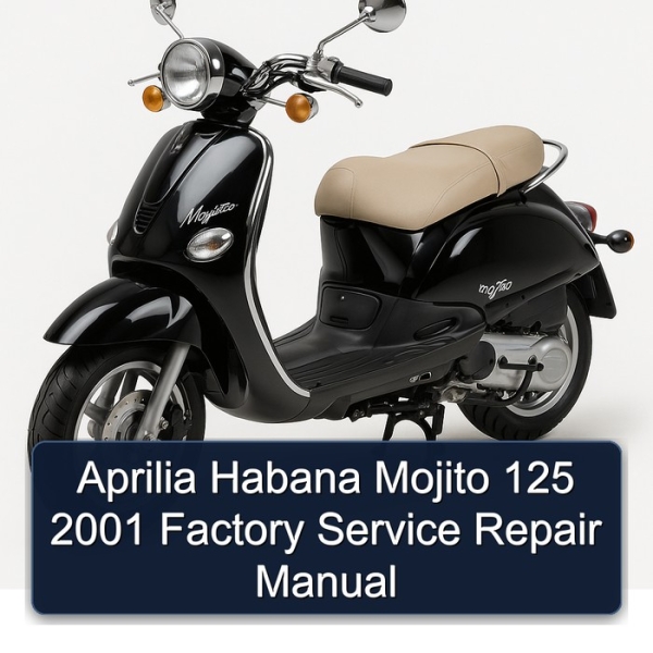 Aprilia Habana Mojito 125 2001 Factory Service Repair Manual