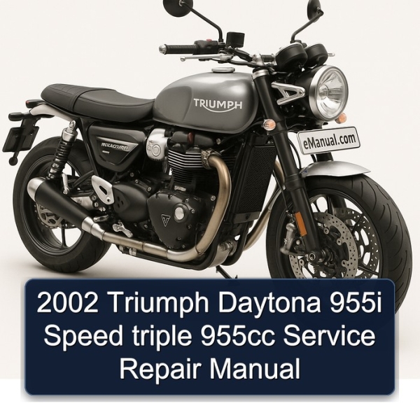 2002 Triumph Daytona 955i Speed triple 955cc Service Repair Manual