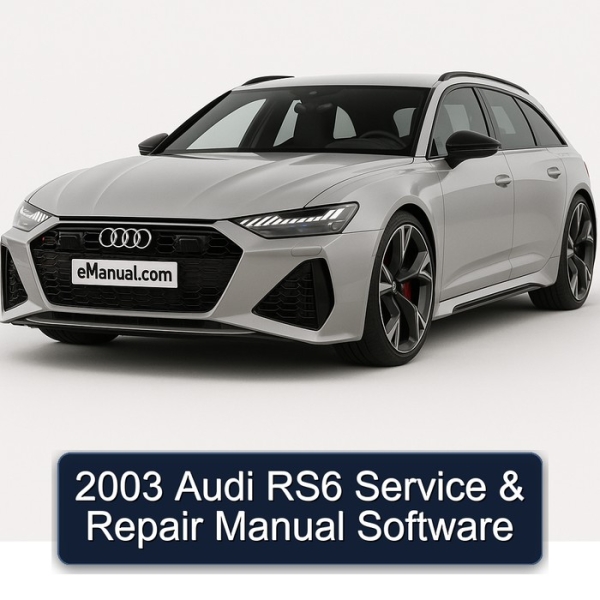 2003 Audi RS6 Service & Repair Manual Software