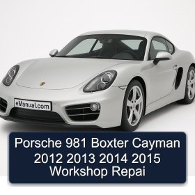 Porsche 981 Boxter Cayman 2012 2013 2014 2015 Workshop Repai