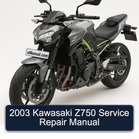 2003 Kawasaki Z750 Service Repair Manual