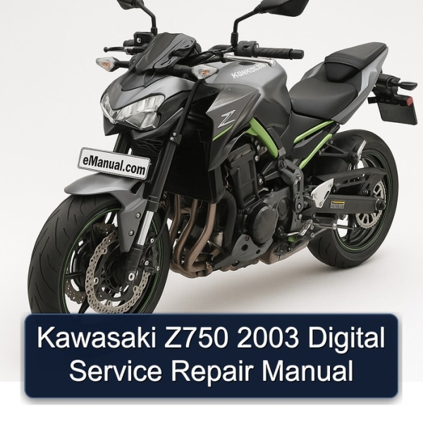Kawasaki Z750 2003 Digital Service Repair Manual