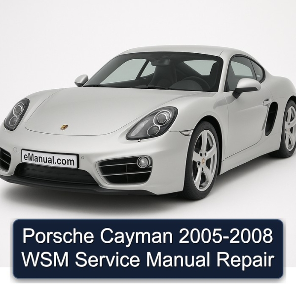 Porsche Cayman 2005-2008 WSM Service Manual Repair