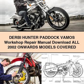 DERBI HUNTER PADDOCK VAMOS Workshop Repair Manual Download All 2002 ONWARDS ModelS COVERED PDF - Click Image to Close