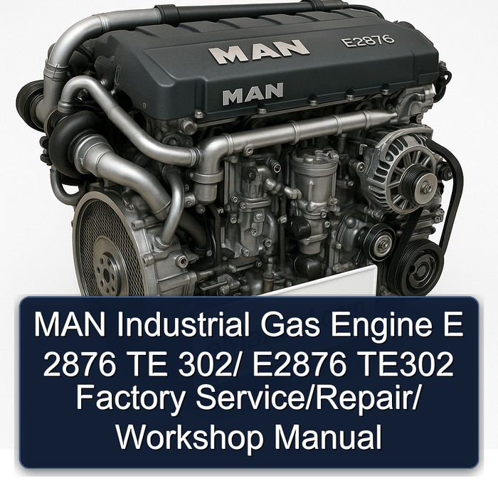MAN Industrial Gas Engine E 2876 TE 302/ E2876 TE302 Factory Service/Repair/ Workshop Manual
