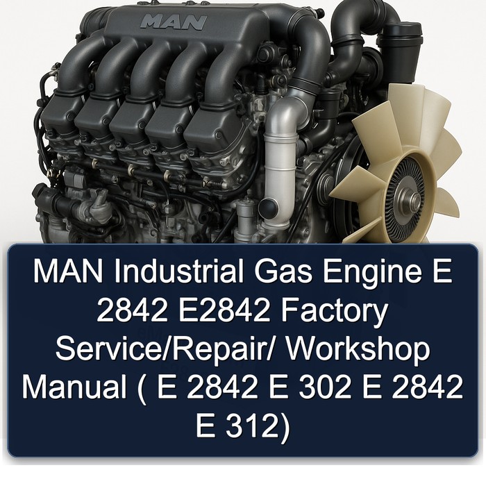 MAN Industrial Gas Engine E 2842 E2842 Factory Service/Repair/ Workshop Manual ( E 2842 E 302 E 2842 E 312)