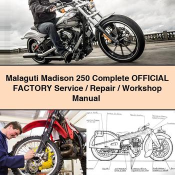 Malaguti Madison 250 Complete OFFICIAL Factory Service / Repair / Workshop Manual PDF Download - Click Image to Close