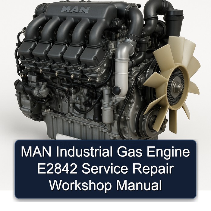 MAN Industrial Gas Engine E2842 Service Repair Workshop Manual