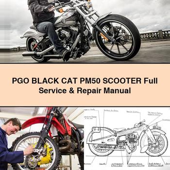 PGO BLACK CAT PM50 Scooter Full Service & Repair Manual PDF Download - Click Image to Close