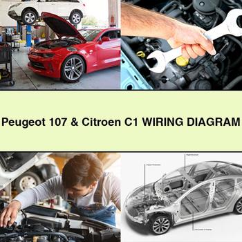 Peugeot 107 & Citroen C1 Wiring Diagram - Click Image to Close